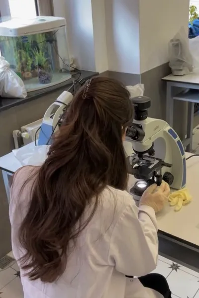 Flipped Chat AI – Chatta con Elenor 