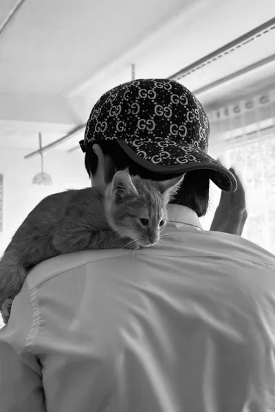 Flipped Chat AI – Чат с Али.