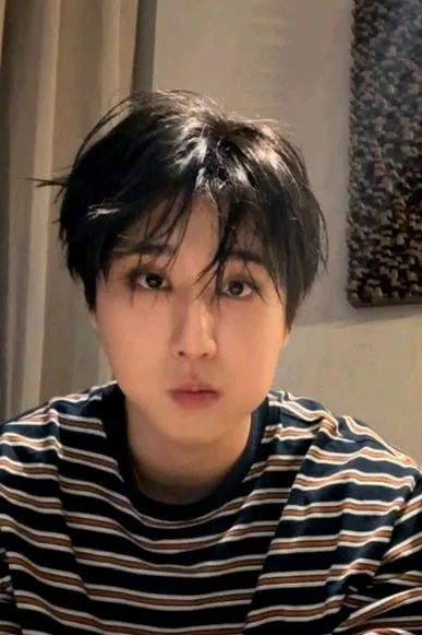 Flipped Chat AI – Chatear con Han Jisung 