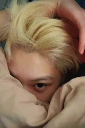 Flipped Chat AI – Discuter avec Felix 