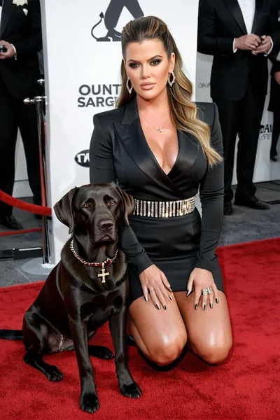 Flipped Chat AI – Chat cu Khloe Kardashian