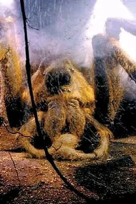 Flipped Chat AI – Chat s Mosag