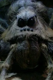 Omgedraaide chat AI – Chat met Aragog