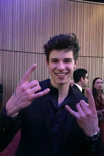 Flipped Chat AI – Chat dengan Shawn Mendes 