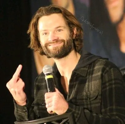 Flipped Chat AI – Чат с Джаред Падалеки