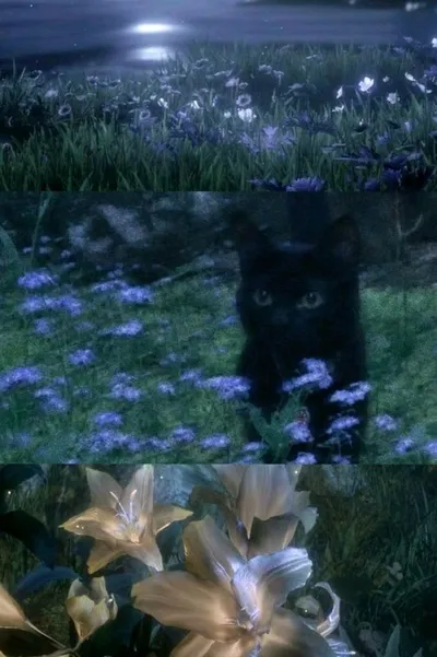 Flipped Chat AI – Chatear con Anh em nhà Dereck