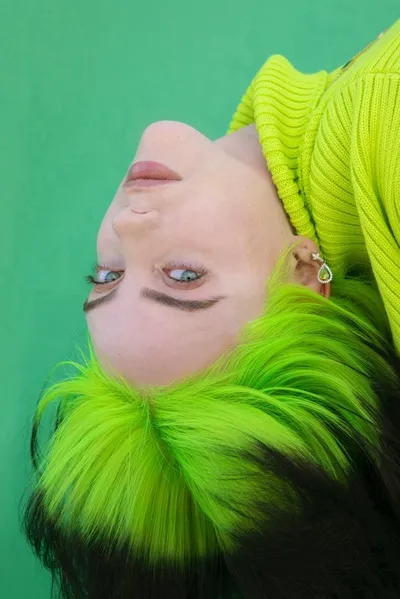 Flipped chat ai - makipag -chat sa Billie Eilish 