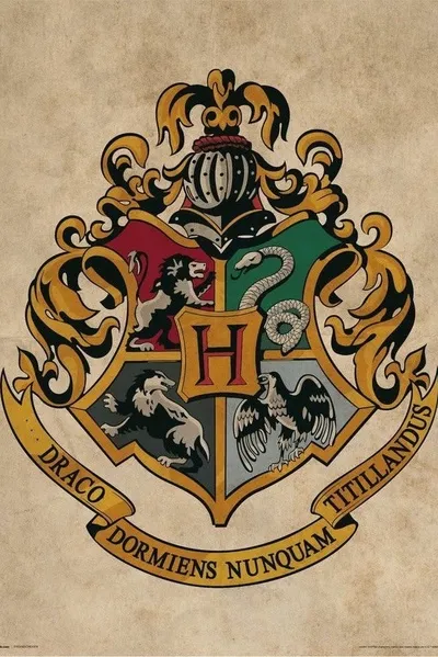 Flipped chat ai - makipag -chat sa Hogwarts rpg