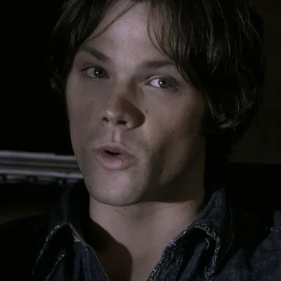 Çevrilmiş Sohbet Yapay Zekası – Jared Padaleckiile sohbet edin