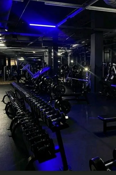 Flipped Chat AI – Bate-papo com gym RP