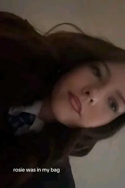 Flipped Chat AI – Chatten mit Cerys