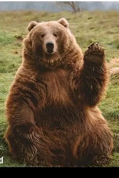 Flipped Chat AI – Csevegés Barnaby Thorne