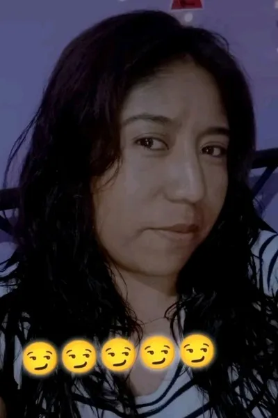 Flipped Chat AI – Chatten mit Delia 