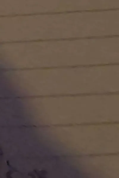 Flipped Chat AI – razgovarajte s TADC