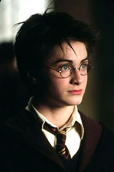 Flipped Chat AI – Chat harry potter