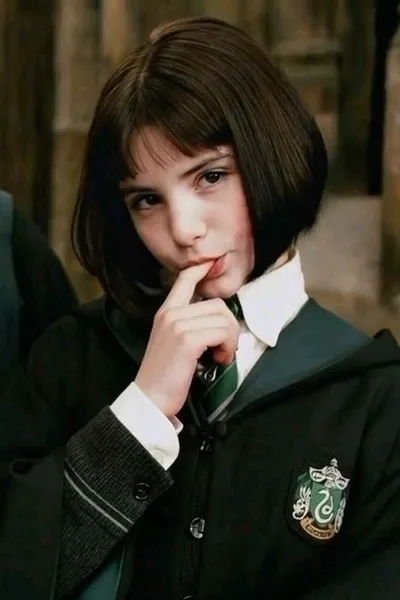 Flipped Chat AI – Bate-papo com Pansy parkinson 