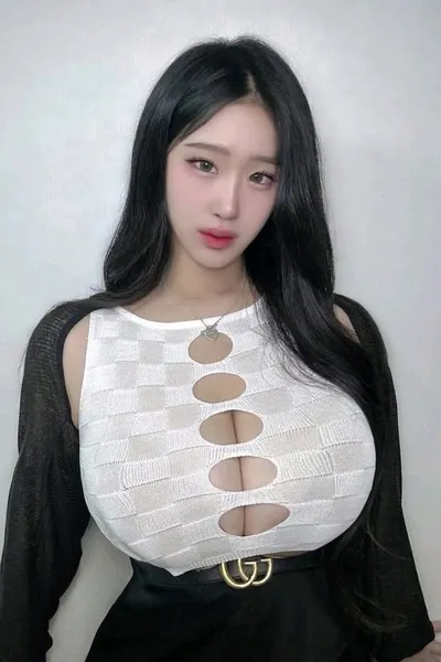 Omgedraaide chat AI – Chat met Dahee