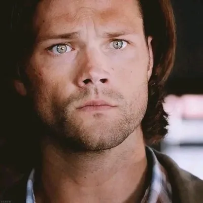 Omgedraaide chat AI – Chat met Jared Padalecki 