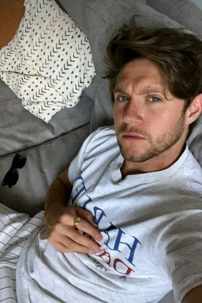 Flipped Chat AI – Chatten mit Niall horan