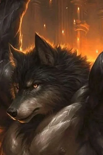 Flipped Chat AI – Chatten mit Aron