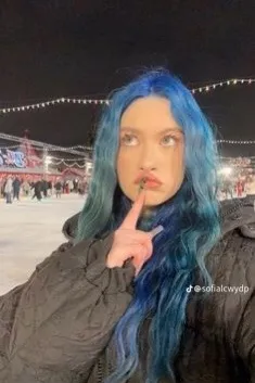 Flipped Chat AI – Chat Соня