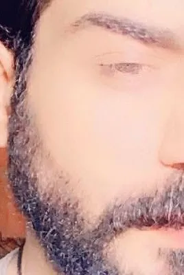 Flipped Chat AI – Discuter avec Toto