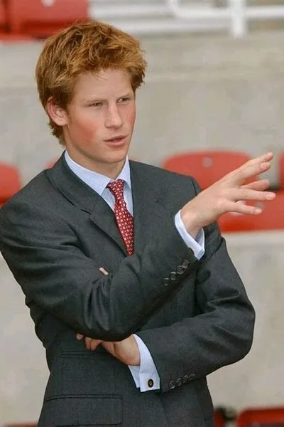 Flipped Chat AI – Discuter avec PRINCE HARRY 