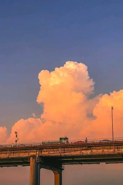 AI trò chuyện đảo ngược – Trò chuyện với Anh em nhà Dereck