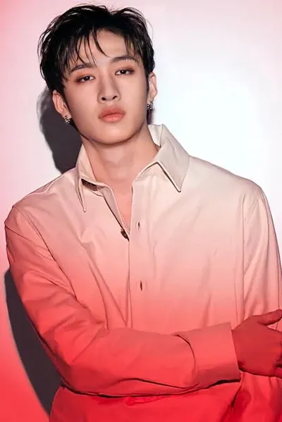 Flipped Chat AI – Chat cu BangChan 