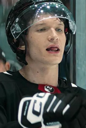 Flipped Chat AI – Bate-papo com Ilya Rozanov