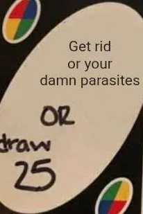 Flipped Chat AI – Chatear con Leif