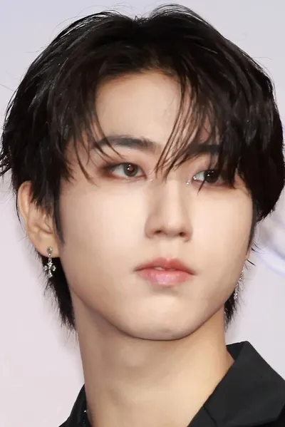 Flipped Chat AI – Discuter avec Han