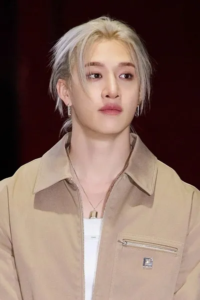 Flipped Chat AI – Chat cu BangChan 