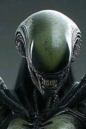 AI trò chuyện đảo ngược – Trò chuyện với Amoa 