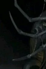 Flipped Chat AI – Chatten mit Xeno