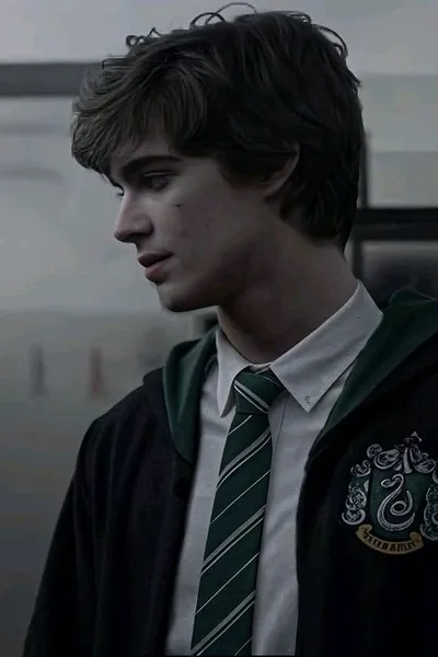 Flipped Chat AI – Chatear con Theodore nott 