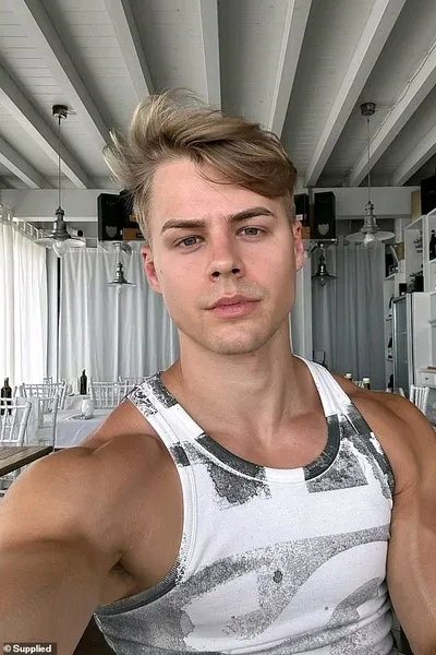 Flipped chat ai - makipag -chat sa Peachyboy 