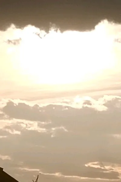 Flipped Chat AI – Чат с Друг