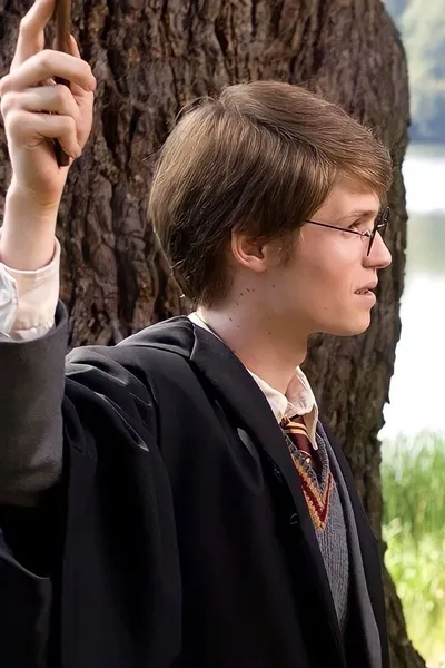 Flipped Chat AI – Csevegés Джеймс Поттер