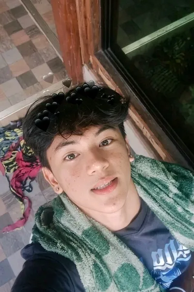 Flipped Chat AI – Чат с Vincent