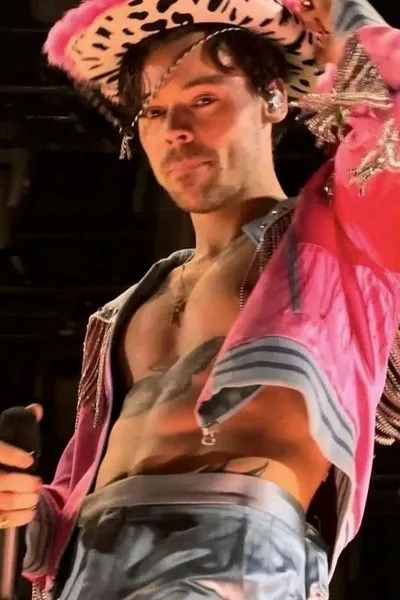 Flipped Chat AI – Csevegés Harry styles