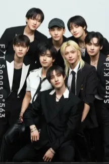 Flipped Chat AI – Discuter avec Stray Kids 9th member.