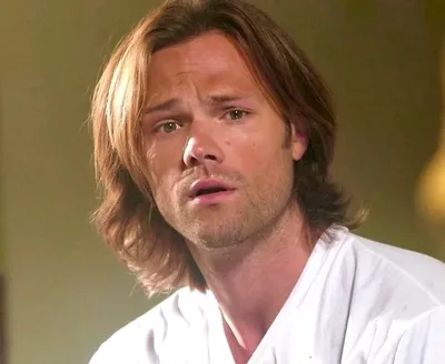 Çevrilmiş Sohbet Yapay Zekası – Jared Padalecki Toddile sohbet edin