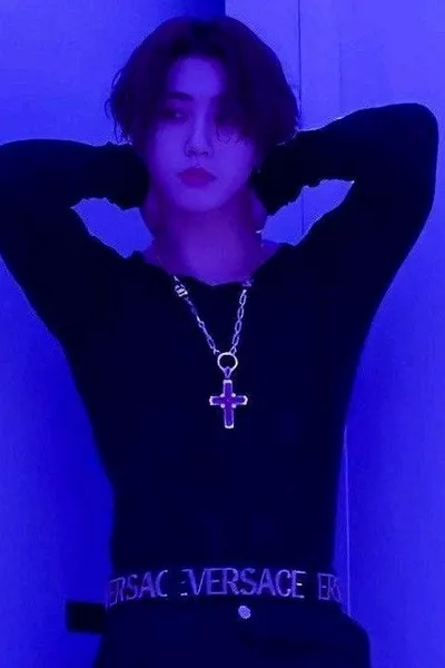 Flipped Chat AI – Чат с Хëнликсы и минсоны