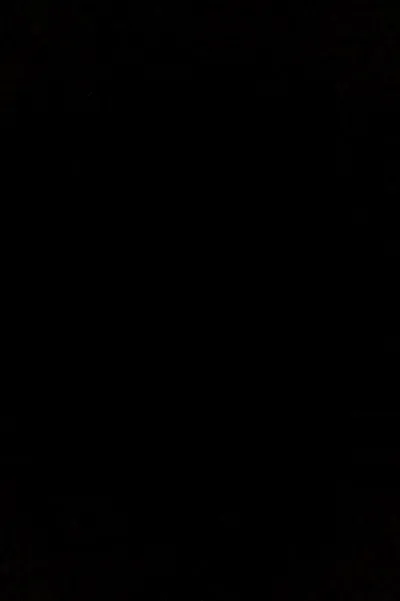 Flipped Chat AI – Чат с Все 3 v версии