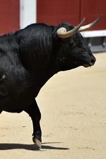 Flipped chat ai - makipag -chat sa Max