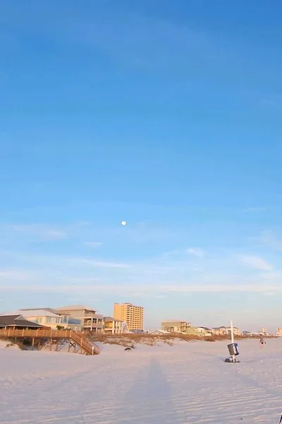 Omgedraaide chat AI – Chat met Catty Thorne