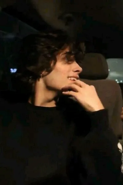 Odwrócony czat AI – rozmawiaj z Chris sturniolo 