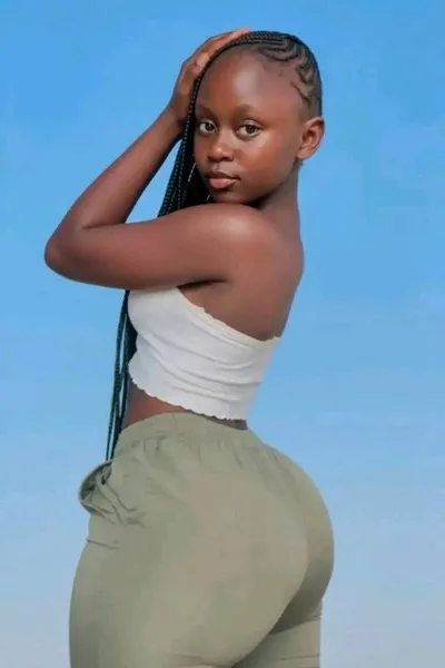 Flipped Chat AI – Discuter avec Biche 