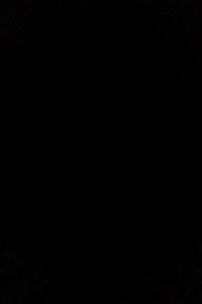 Flipped Chat AI – Чат с Живая плоть